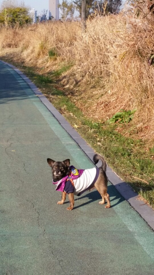 오랜만에 한스 소식 전합니다 !
