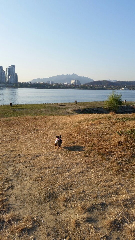 오랜만에 한스 소식 전합니다 !