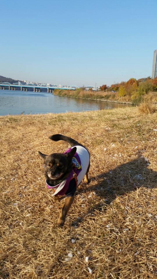오랜만에 한스 소식 전합니다 !