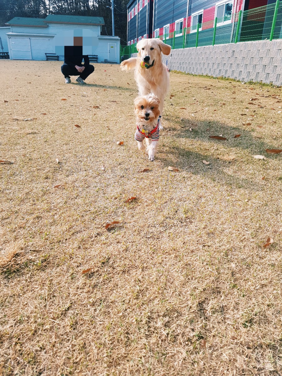 달봉(대금)이의 두번째 후기입니다~~