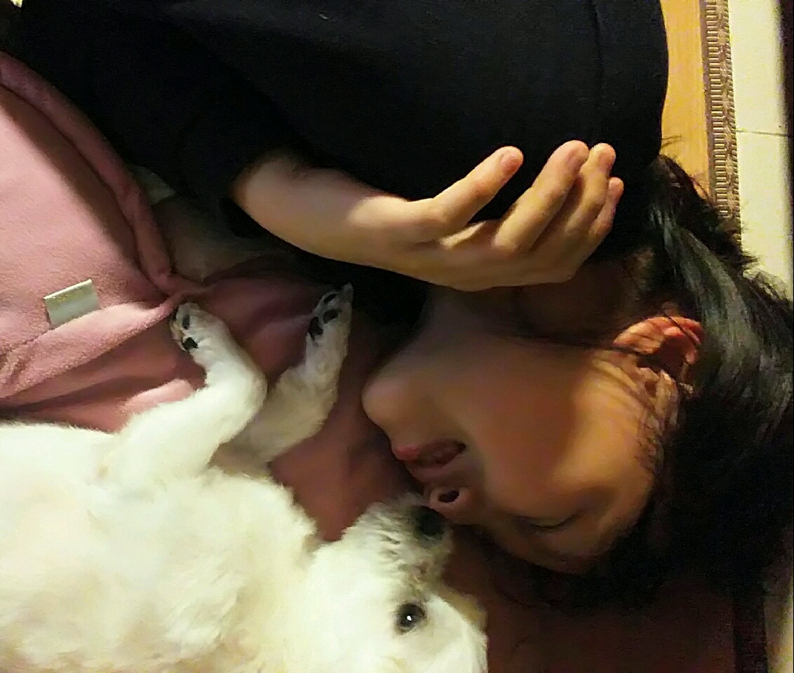 사랑스런 희동이 입양 감사합니다^^(입양후 첫후기)