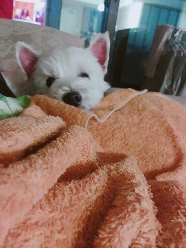 리치 소식 오랜만에 전해요!