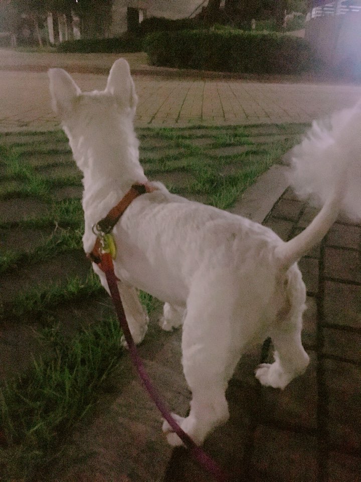 리치 소식 오랜만에 전해요!