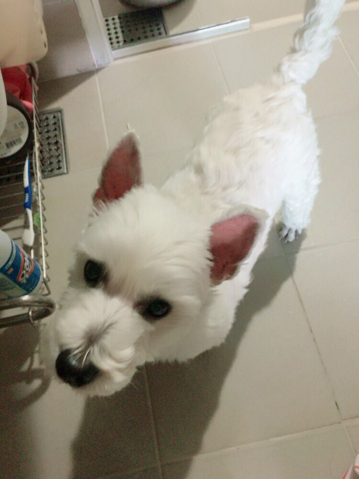 리치 소식 오랜만에 전해요!