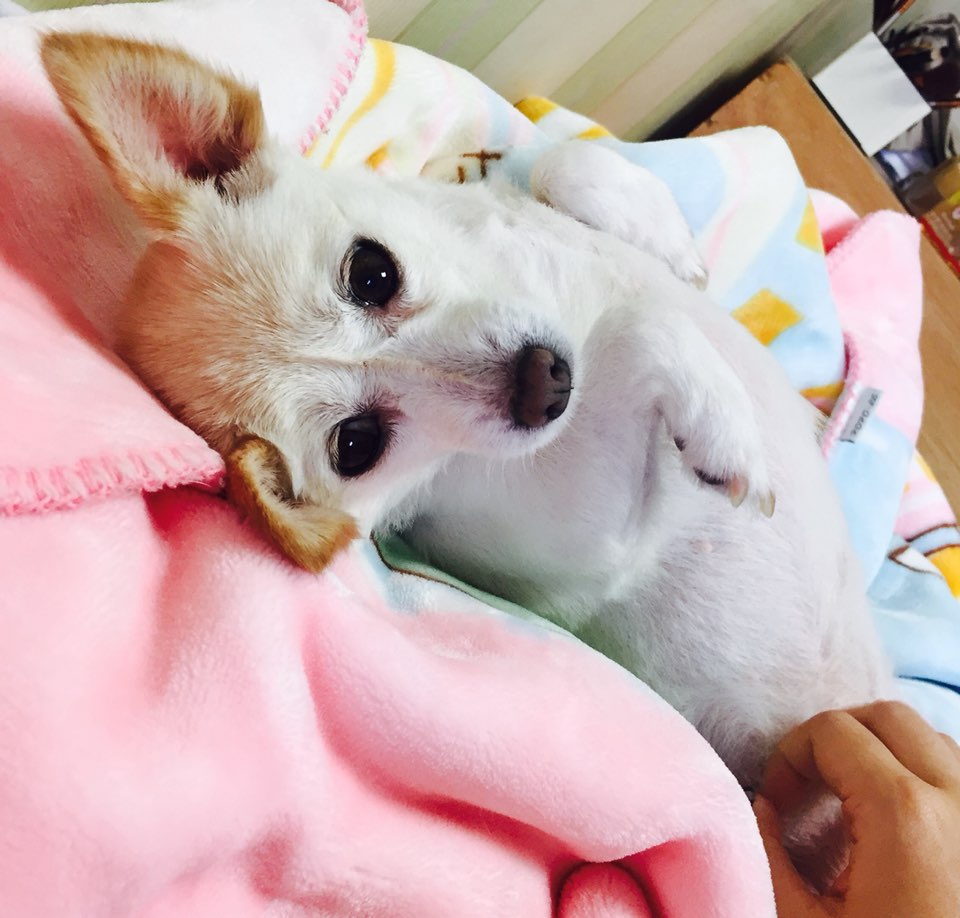 오랜만에 목련이 근황입니다~