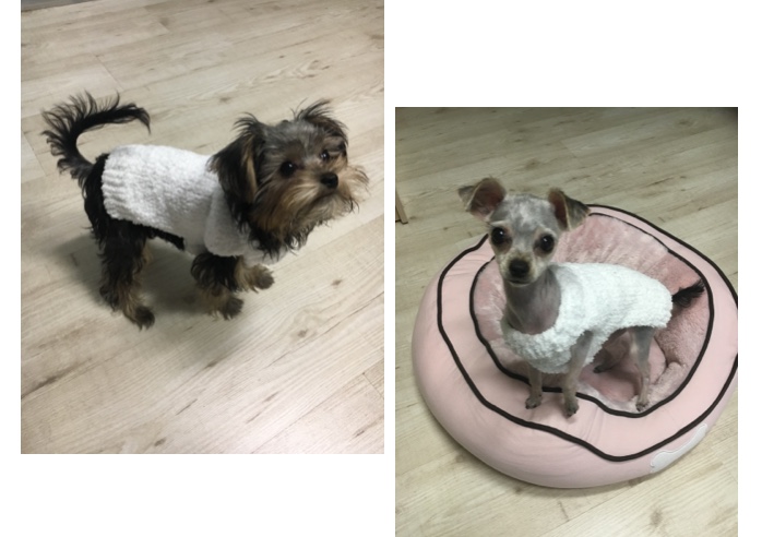 나리의 수난기