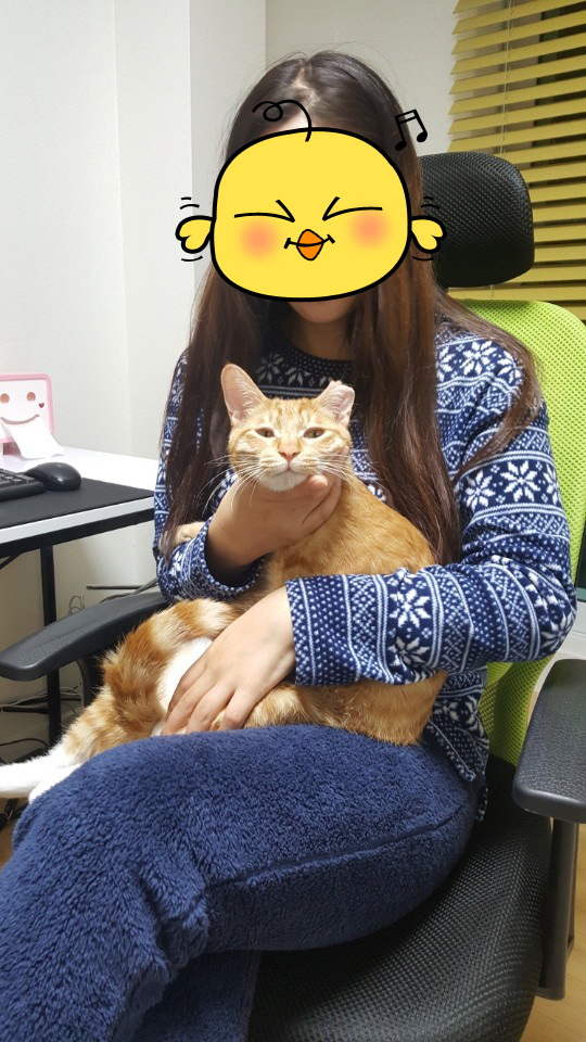 치즈 태비 장남이 두번째 입양후기 올립니다.