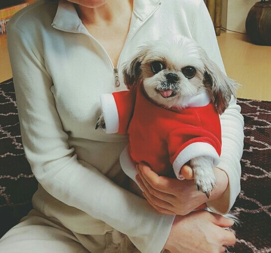 자두랑 함께 한지 일년 반이 되었어요. 