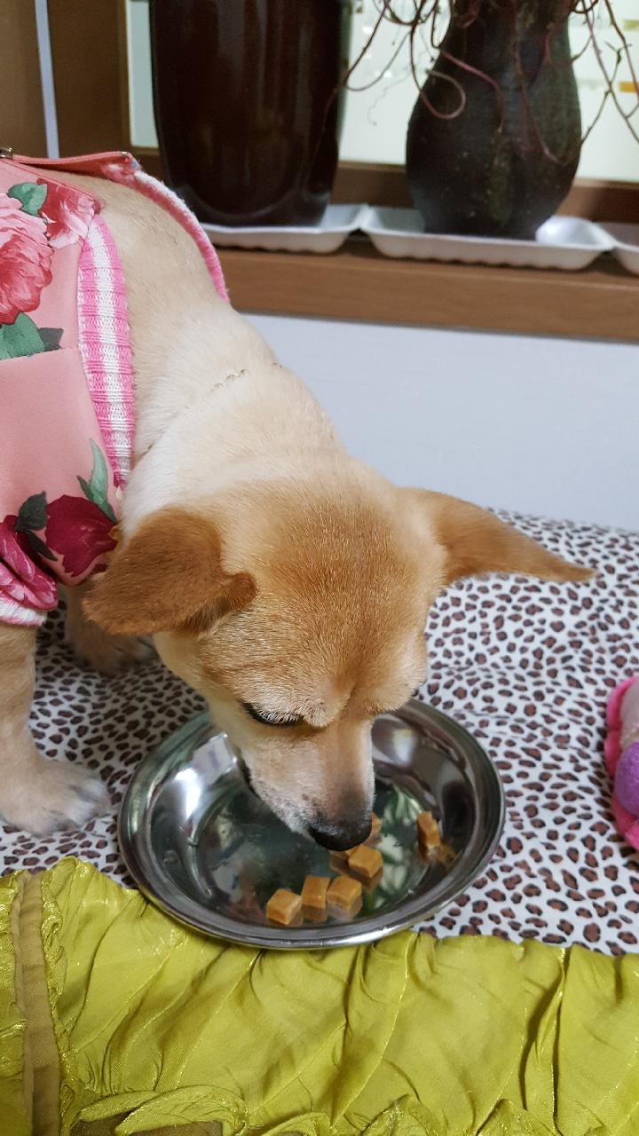 공주근황
