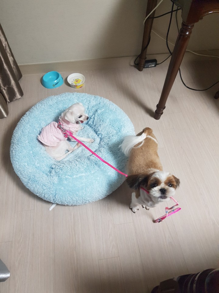 우리 두번째 이야기^^