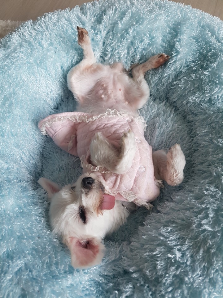 우리 두번째 이야기^^