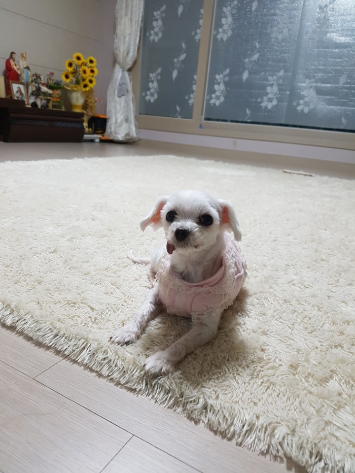 우리 두번째 이야기^^