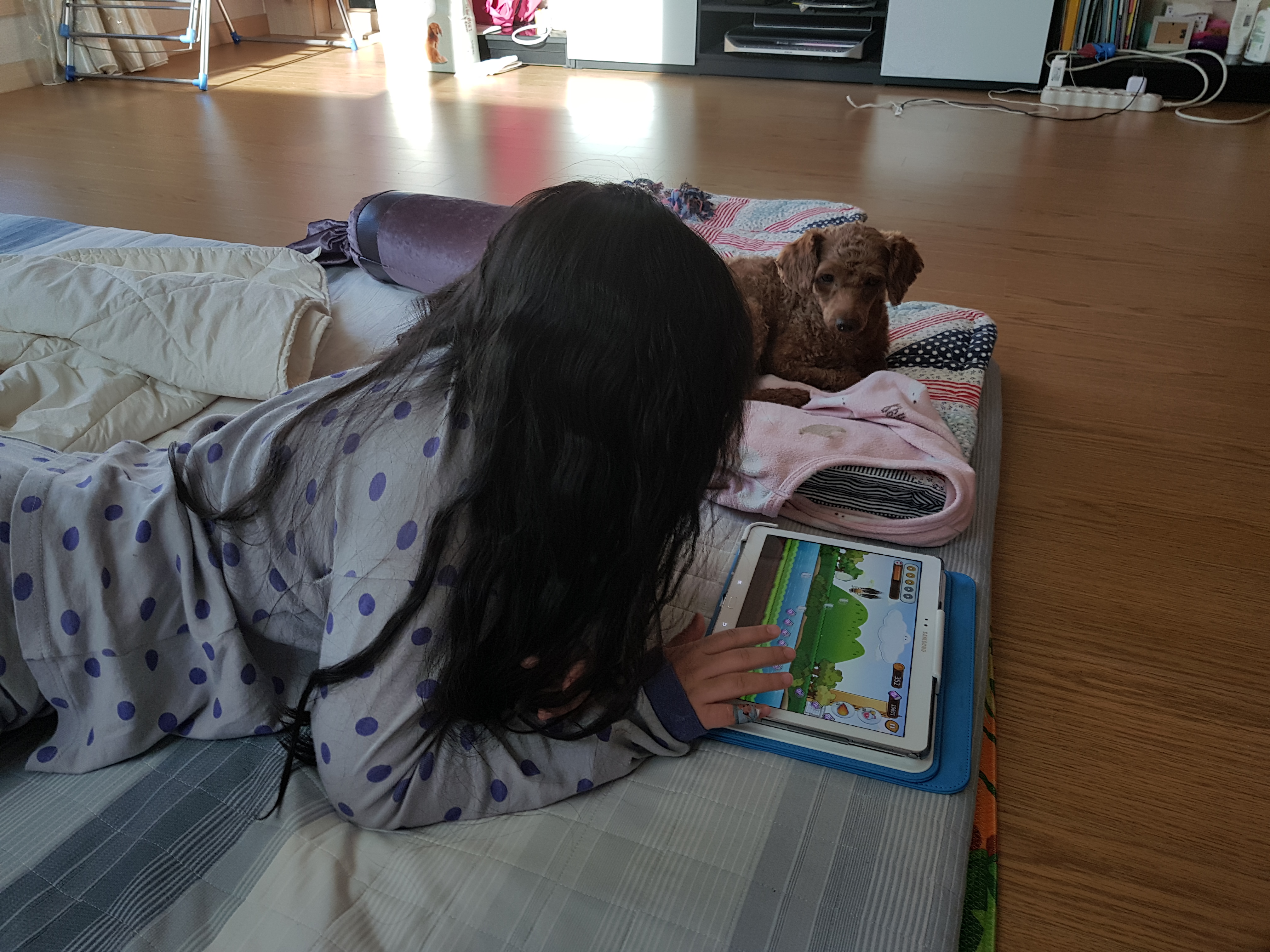 시흥에서 천안으로 찾아온 사랑이 첫 입양후기