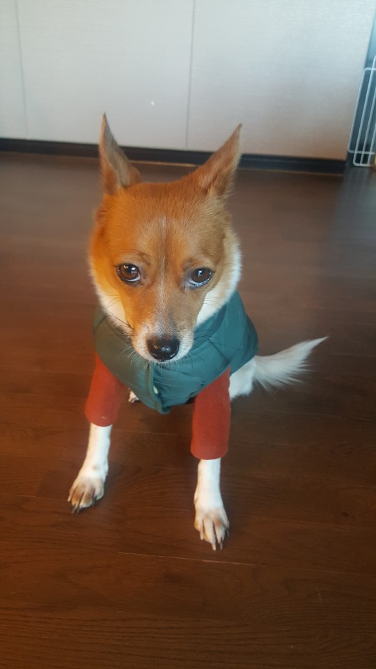 패션리더 하이와 맞는 첫 겨울입니다 ^^