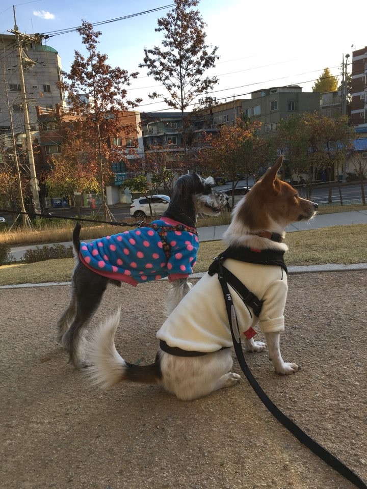 패션리더 하이와 맞는 첫 겨울입니다 ^^
