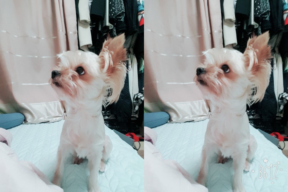 단비가 온지 세달째입니다