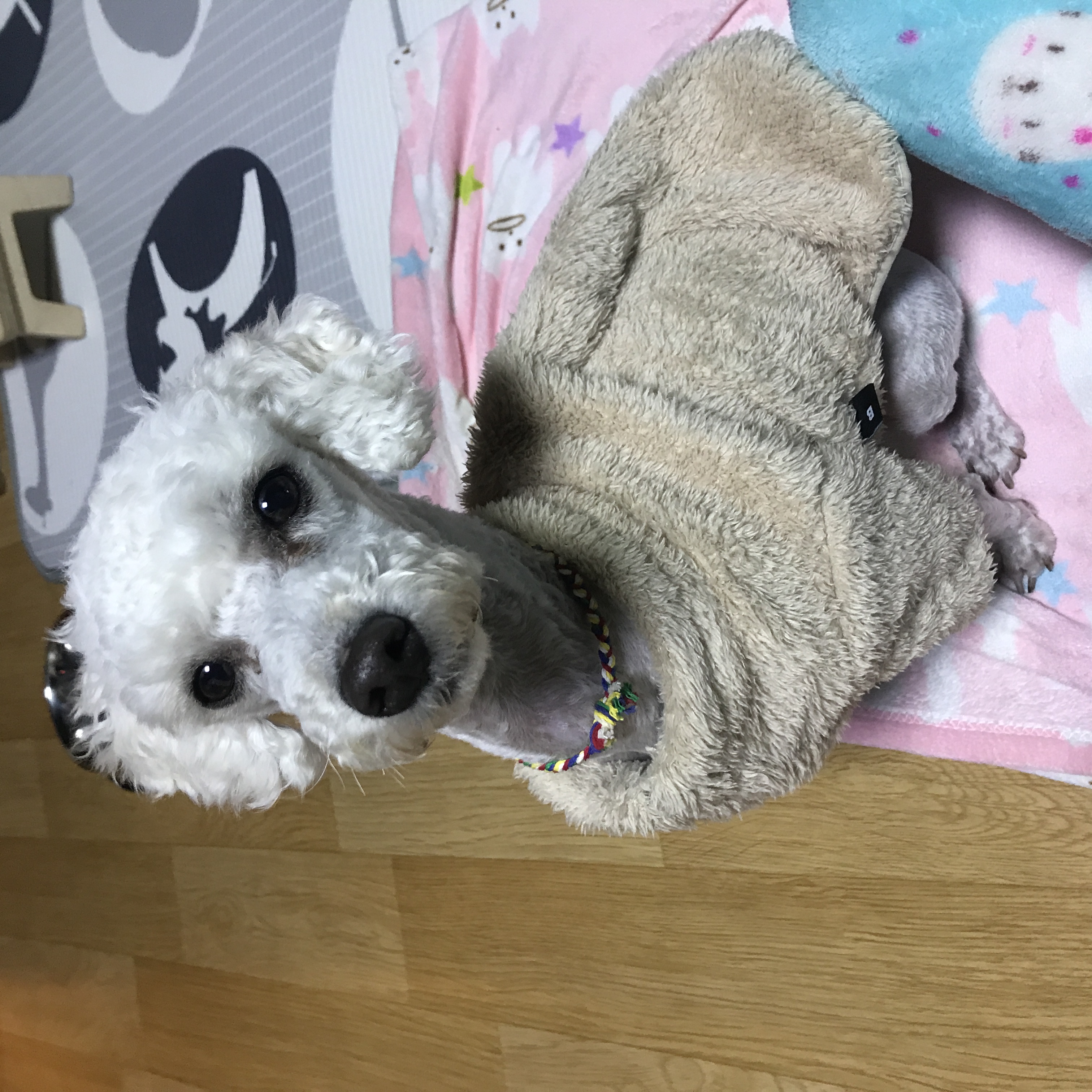 길쭉이(하랑이)가 온지 어느새 일주일입니다!