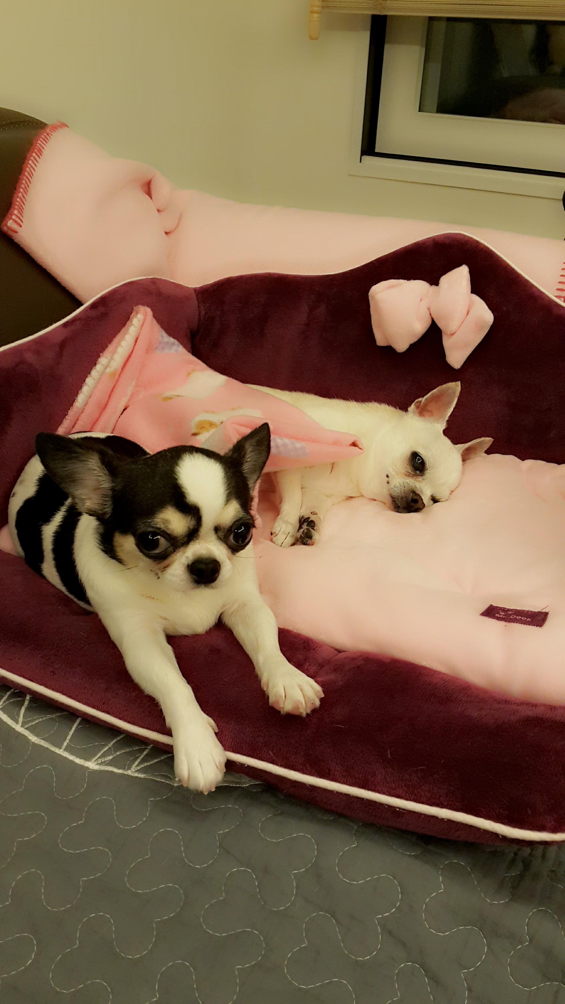 와와요
