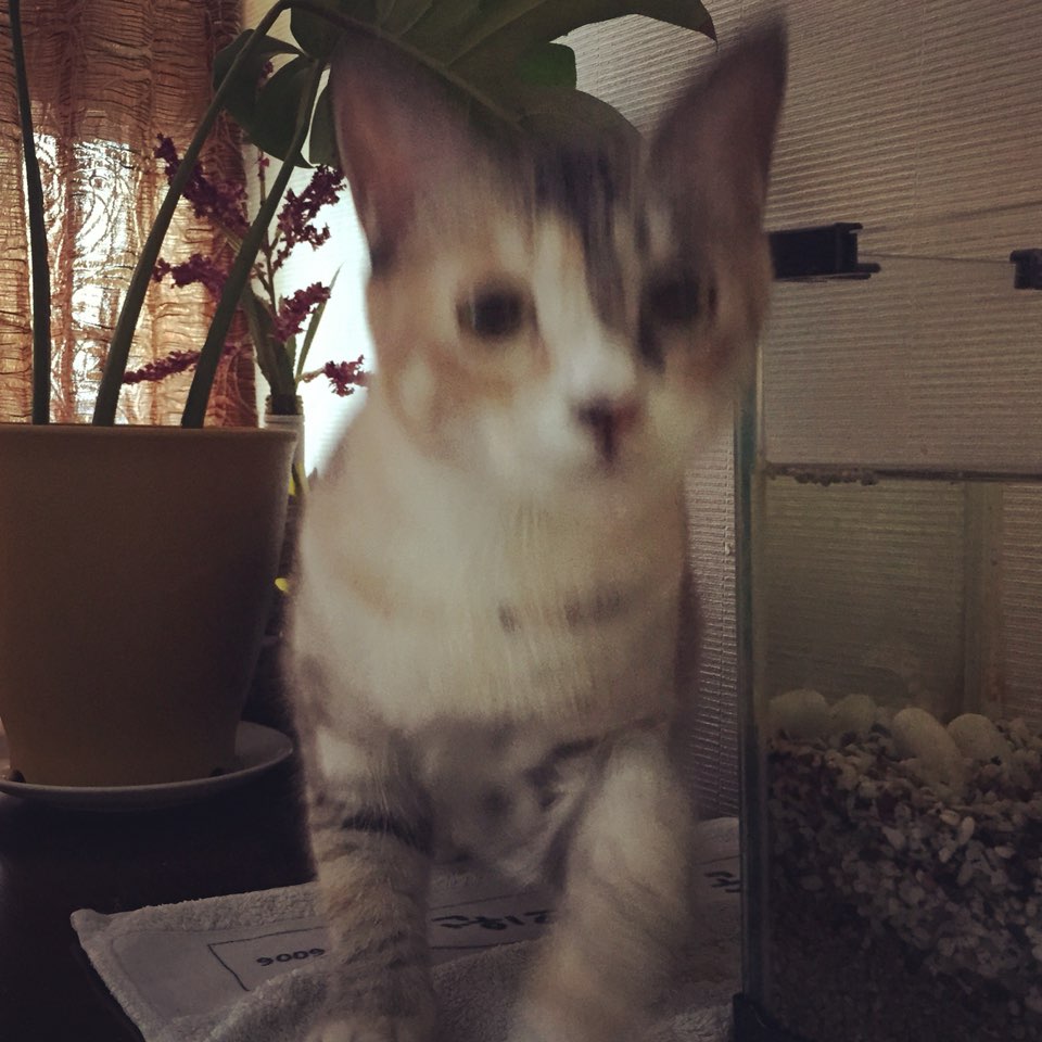 보리 (레니) 와 함께한 1년