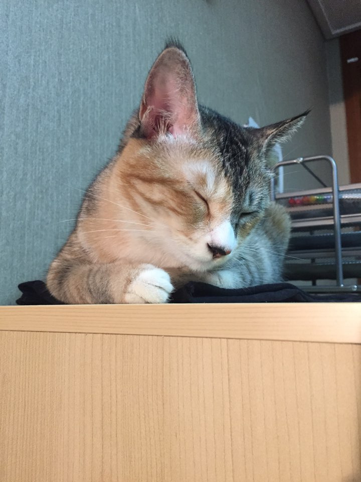 보리 (레니) 와 함께한 1년