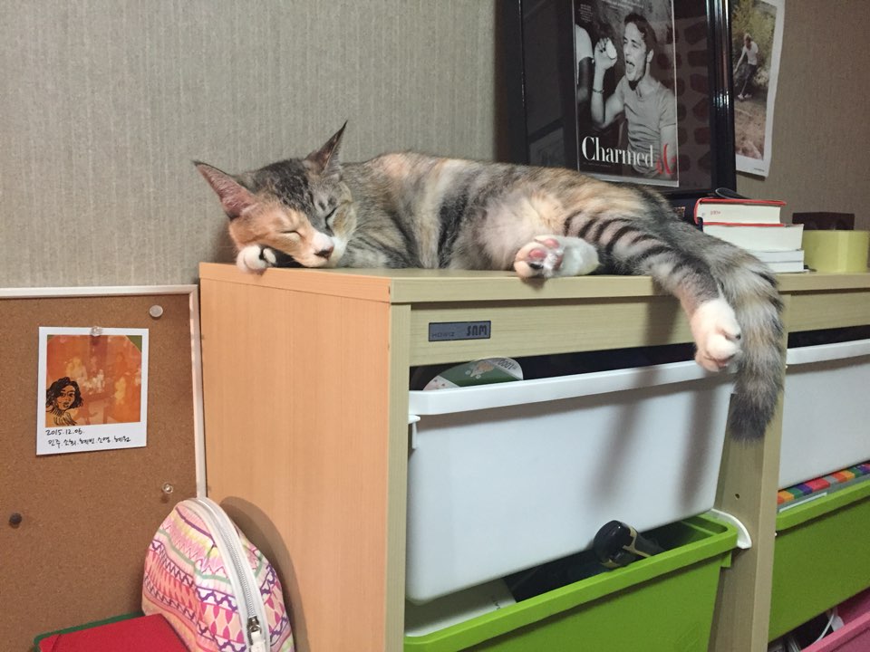 보리 (레니) 와 함께한 1년