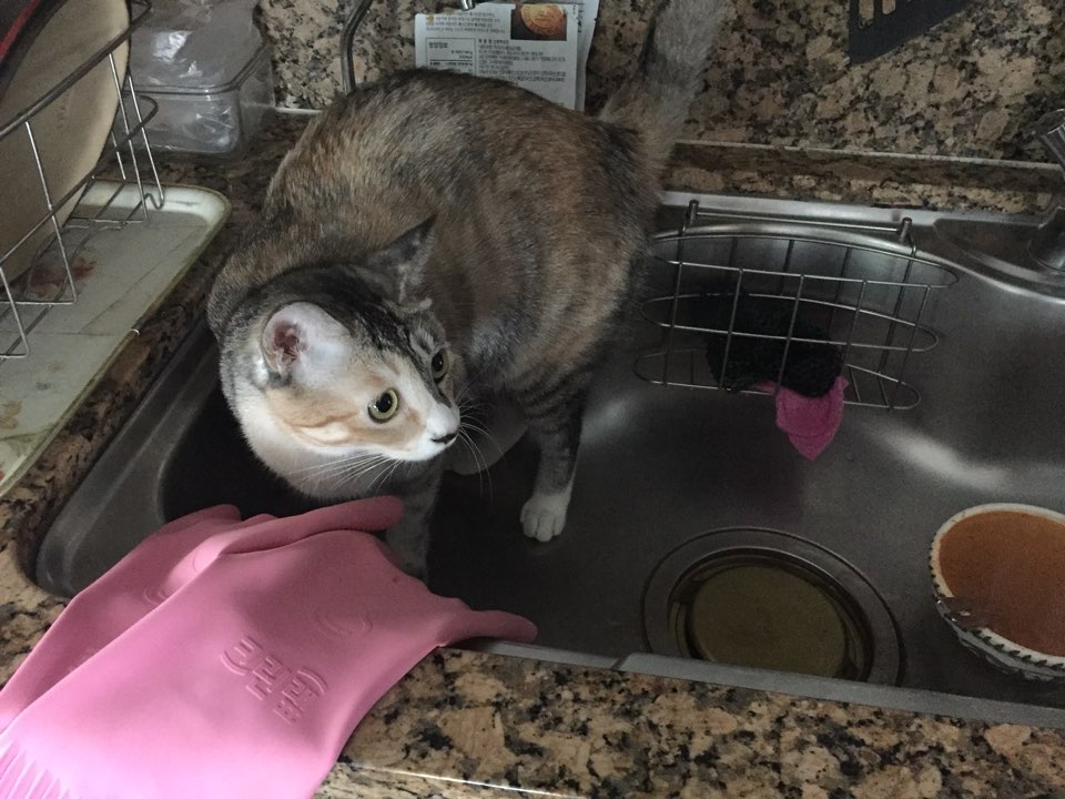 보리 (레니) 와 함께한 1년