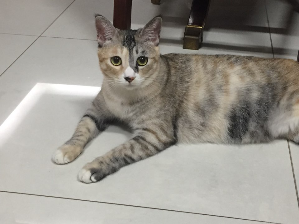보리 (레니) 와 함께한 1년