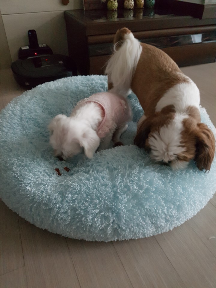 우리의 네번째 이야기^^