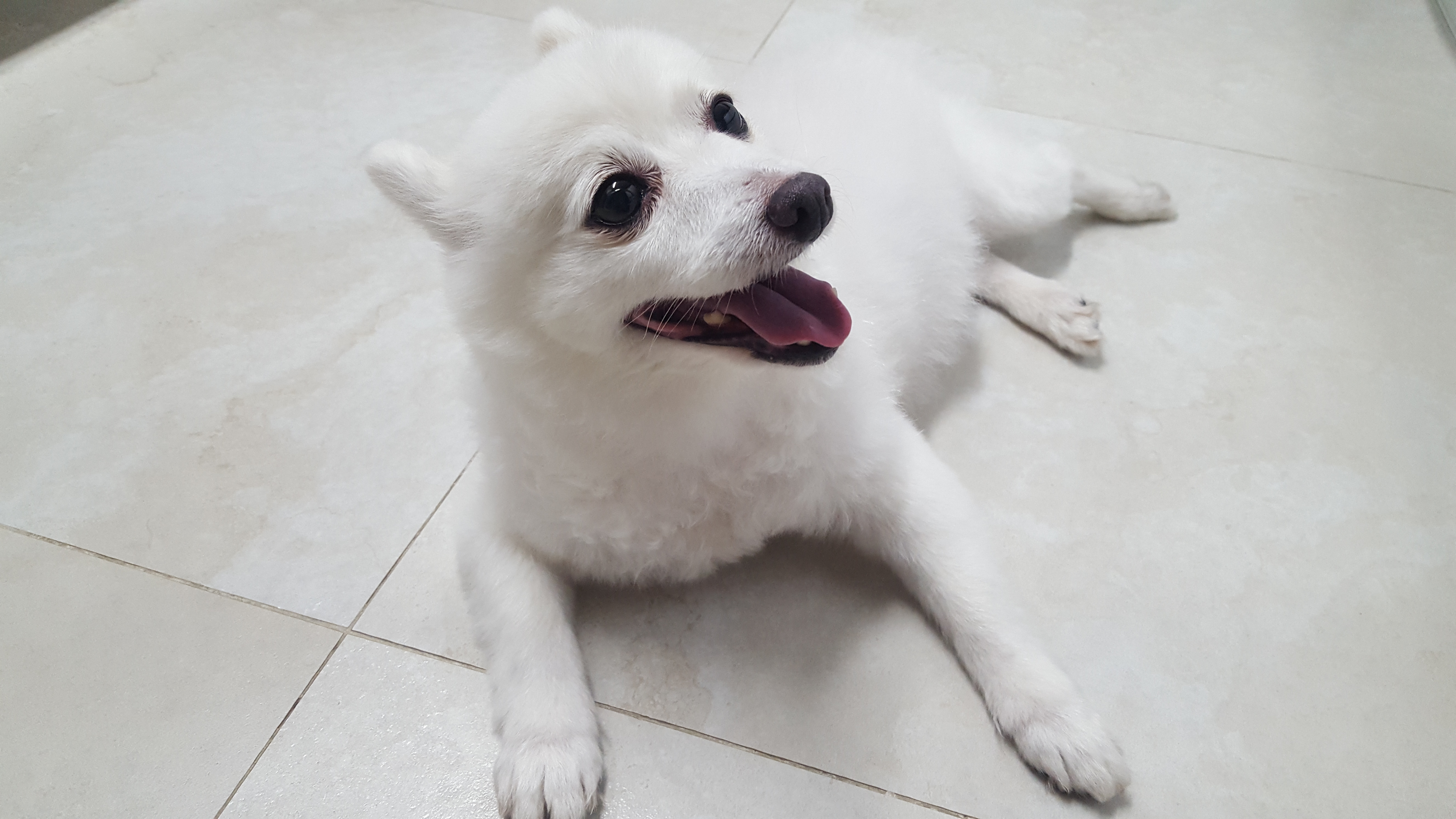 햇살이 사진 올립니다~