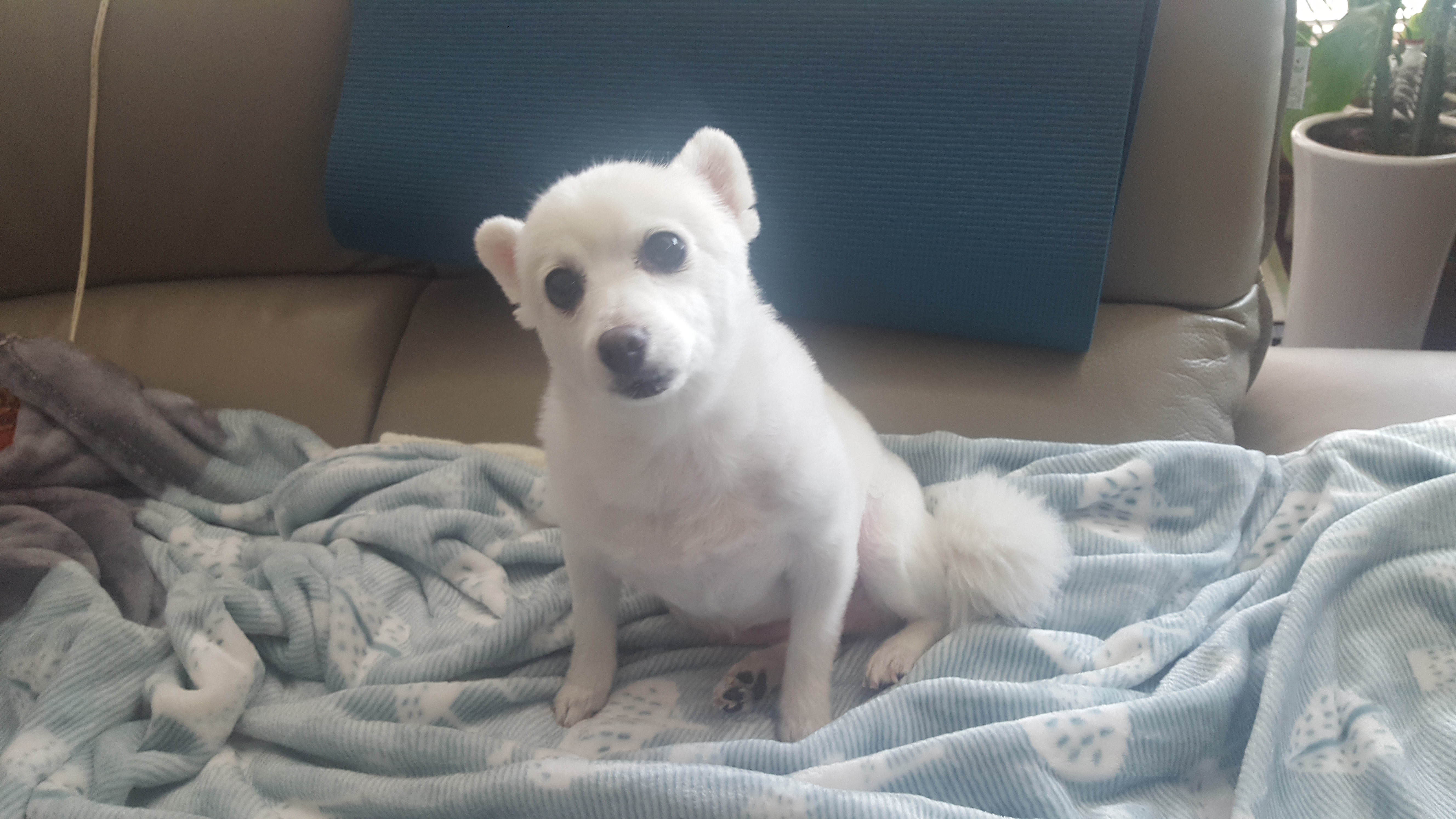 햇살이 사진 올립니다~