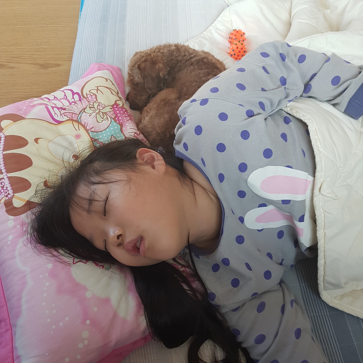 시흥에서 온 사랑이 두번째 이야기