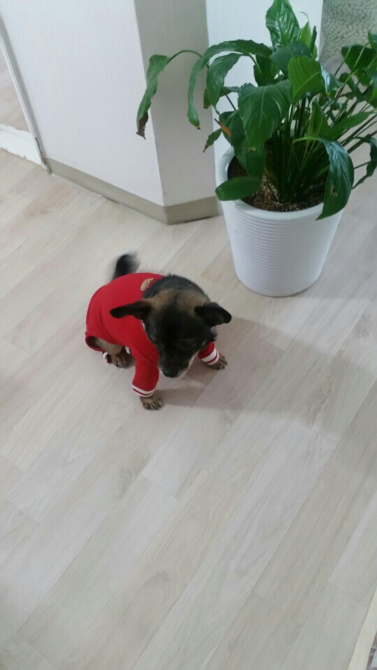 열심히 겨울을 나고있는 '한스' 랍니다 
