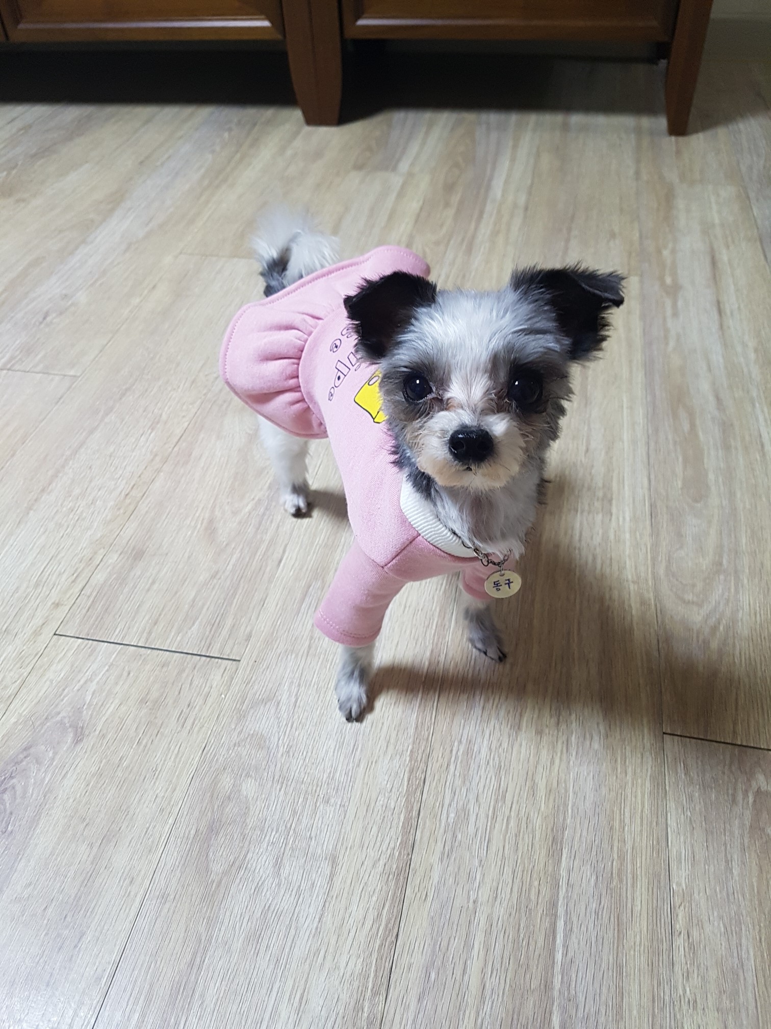 동구적응기~~
