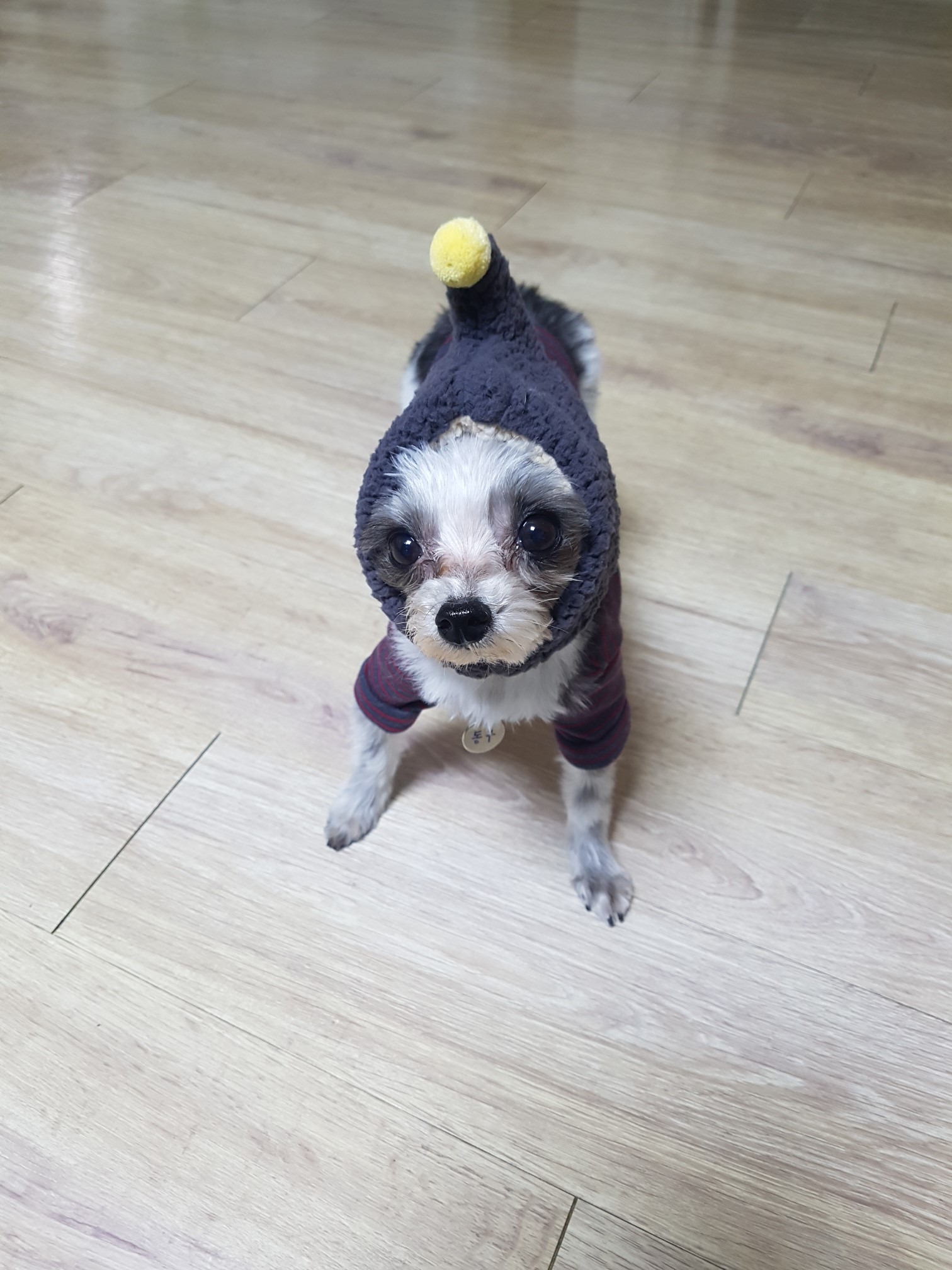 동구적응기~~