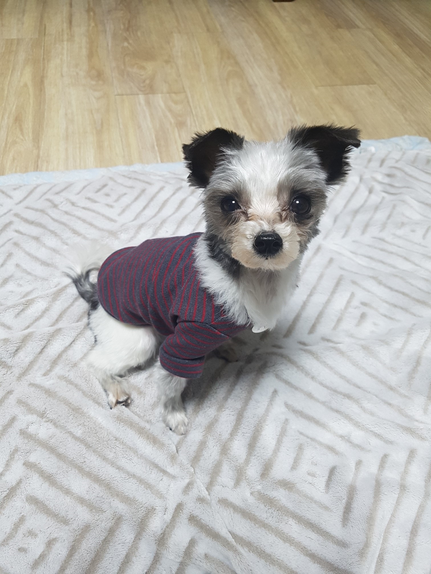 동구적응기~~