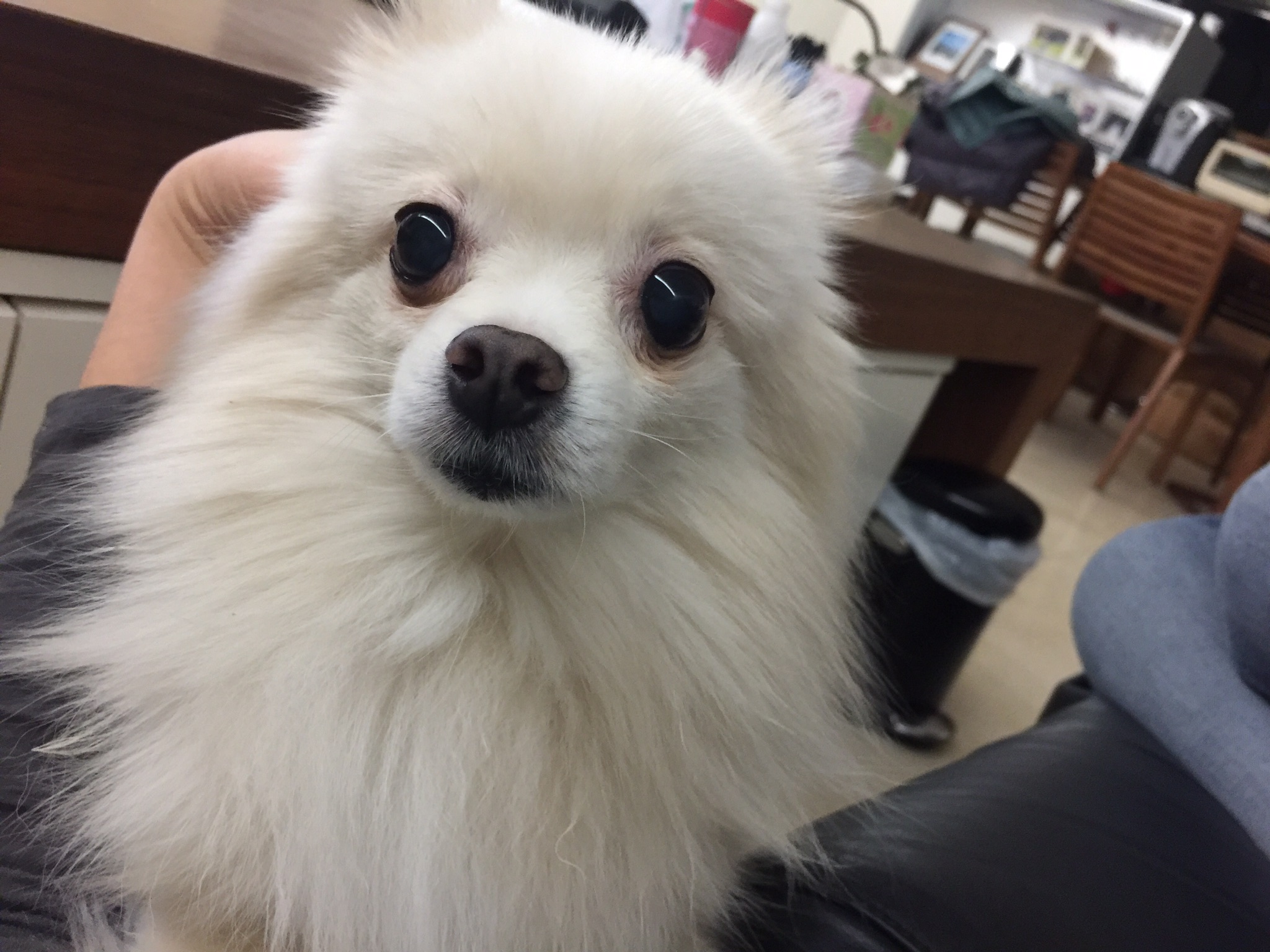 오랫만이에요. 엘리 잘지내고 있어요~