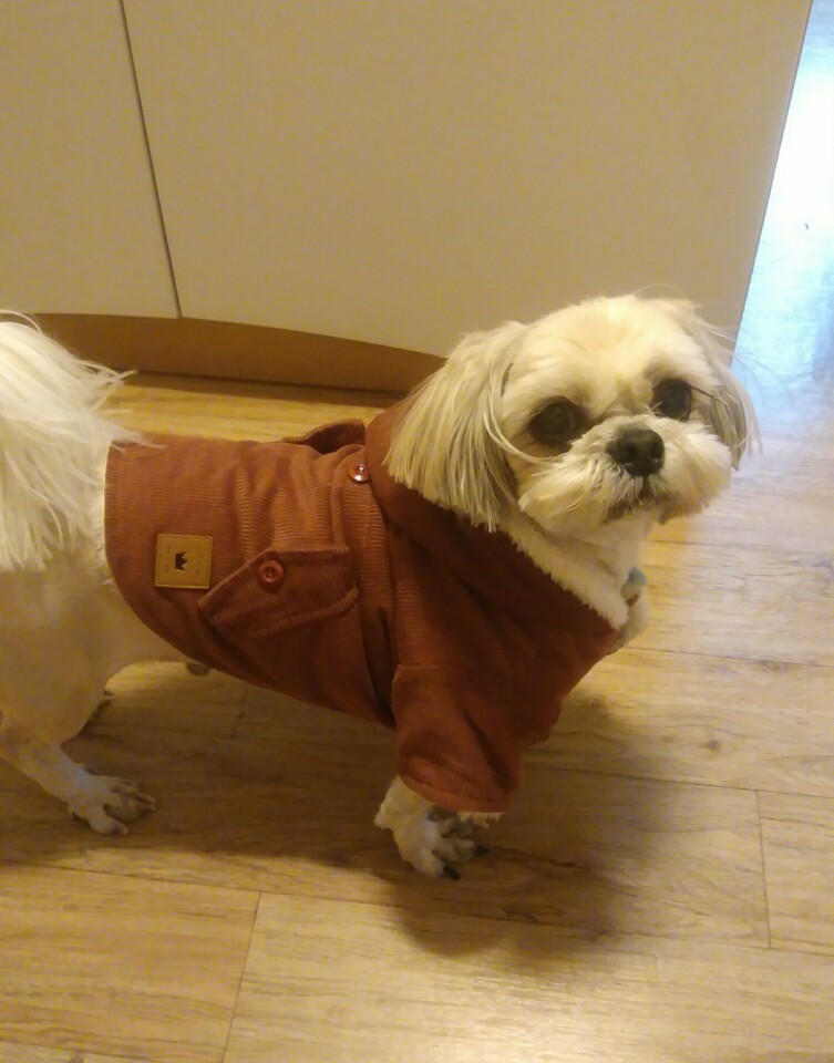 울 동이! 오랫만에 입양후기 올립니다
