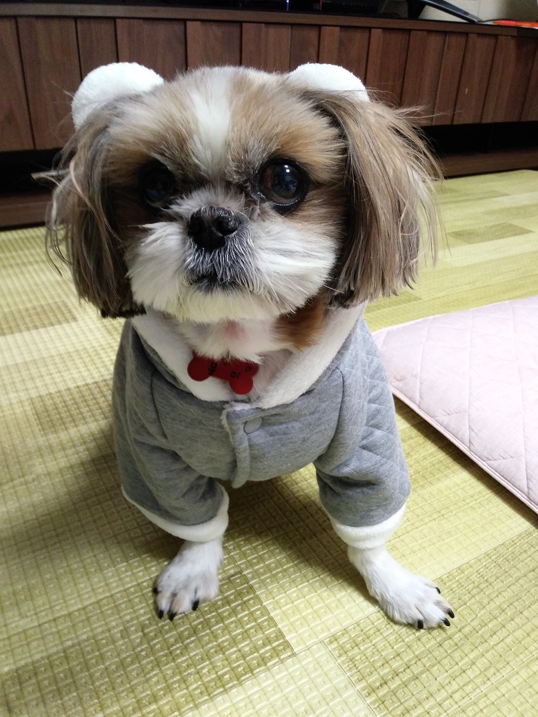 몽이 오랫만에 인사드려요~