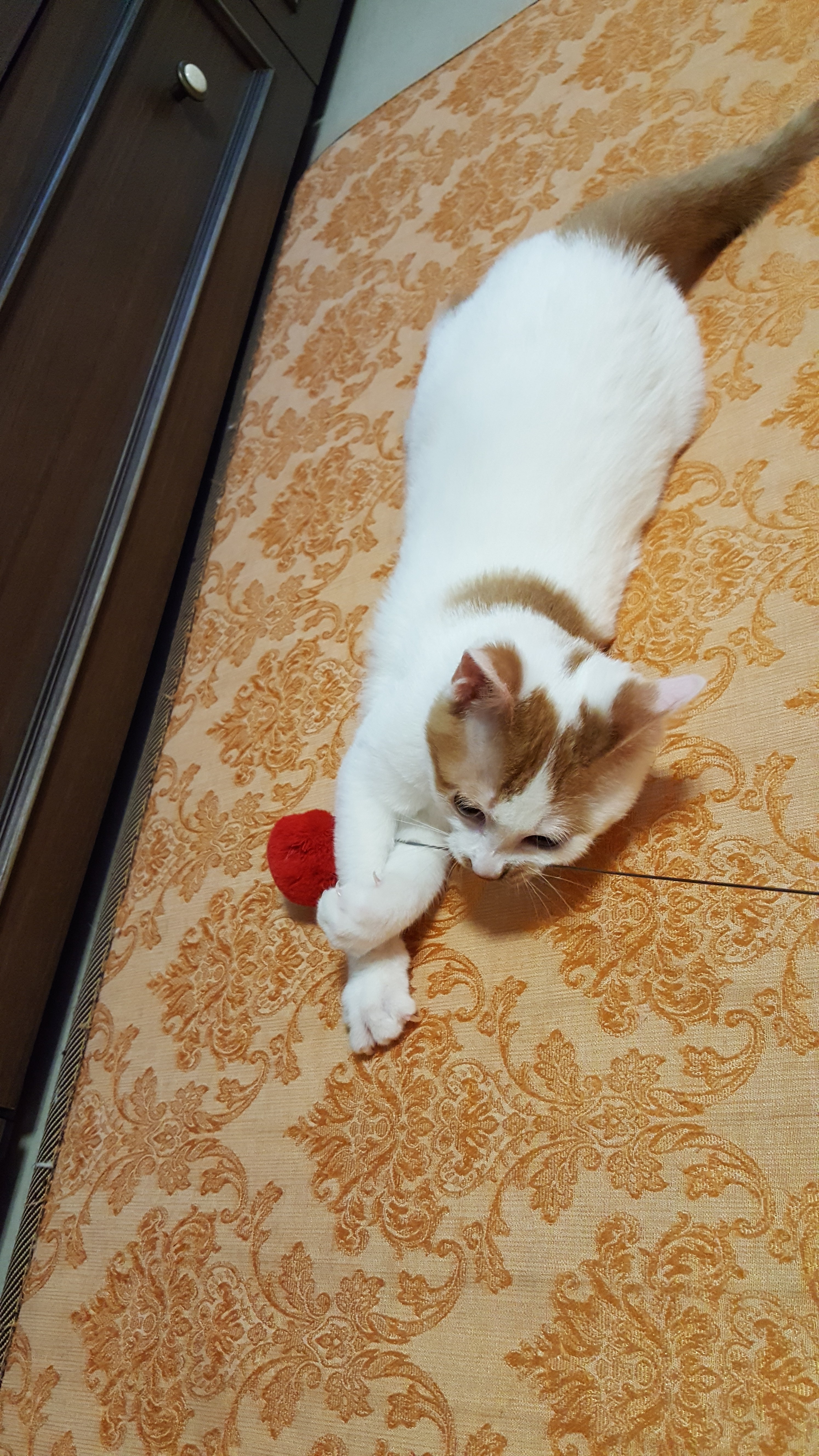 "바로"를 바로잡아주세요
