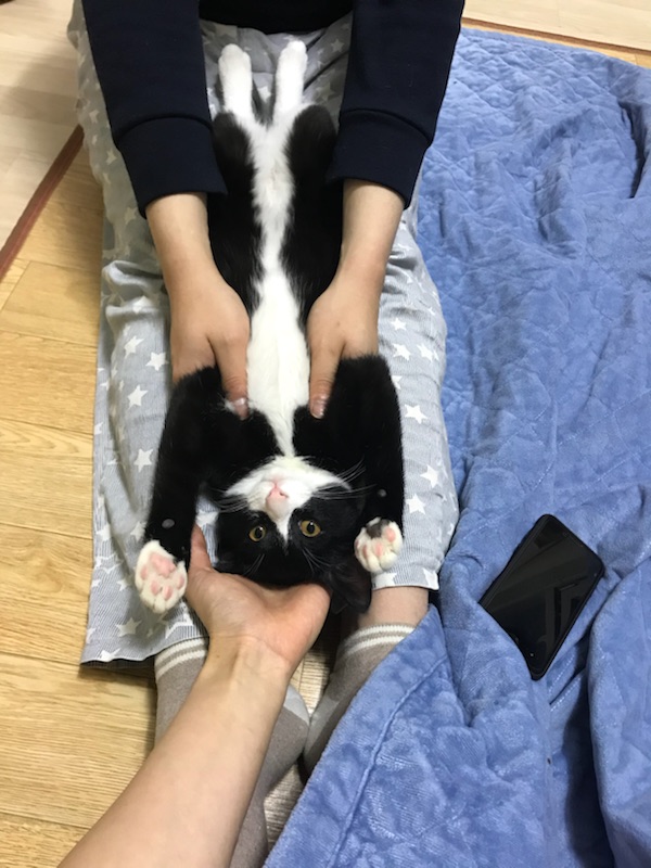 팡(루피) 소식 올려요~