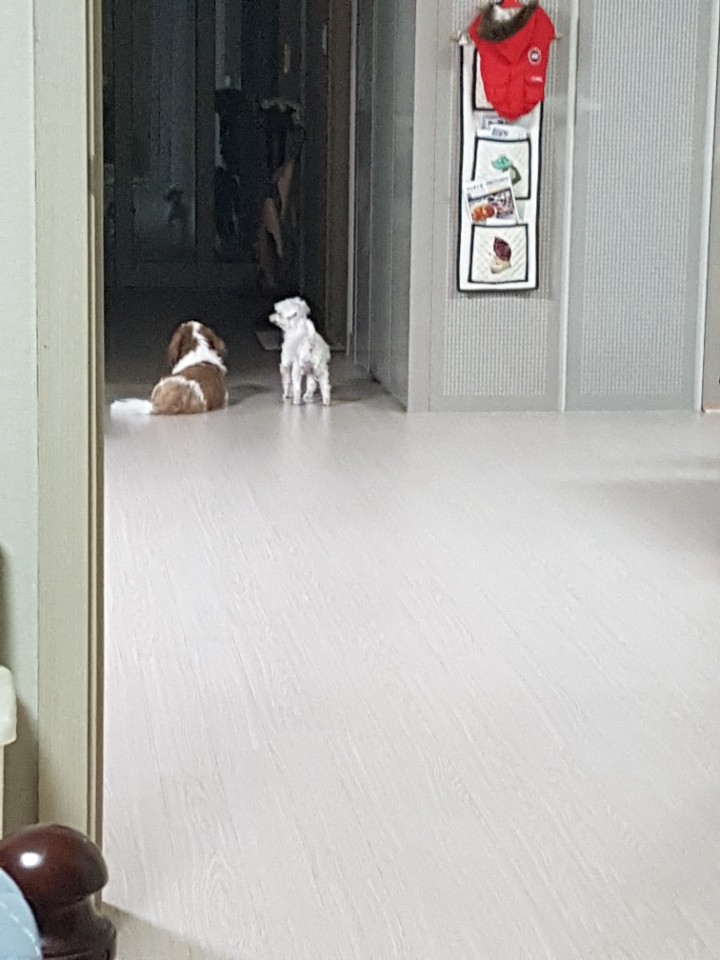우리의 다섯번째 이야기^^