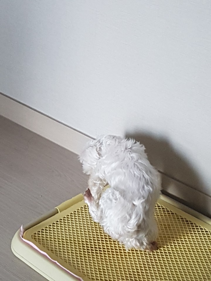 우리의 다섯번째 이야기^^