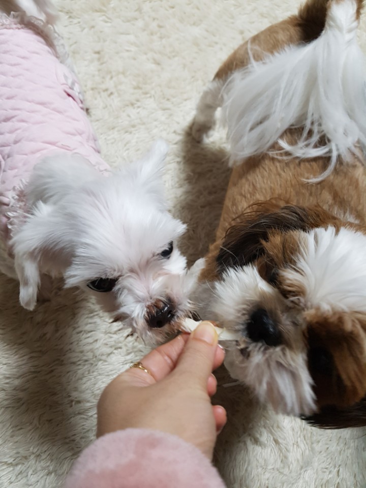 우리의 다섯번째 이야기^^