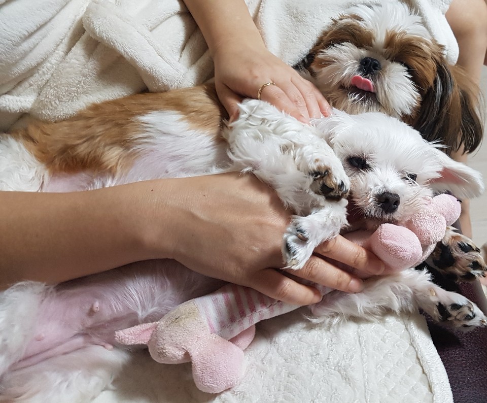 우리의 다섯번째 이야기^^