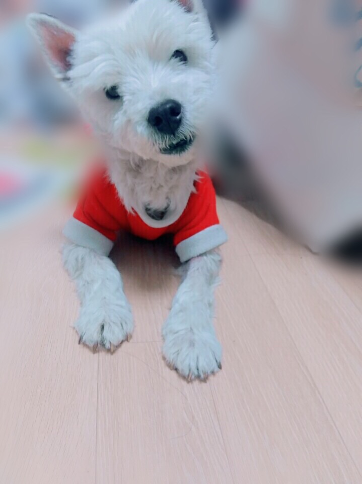 귀여운 망고의 근황&#10084;