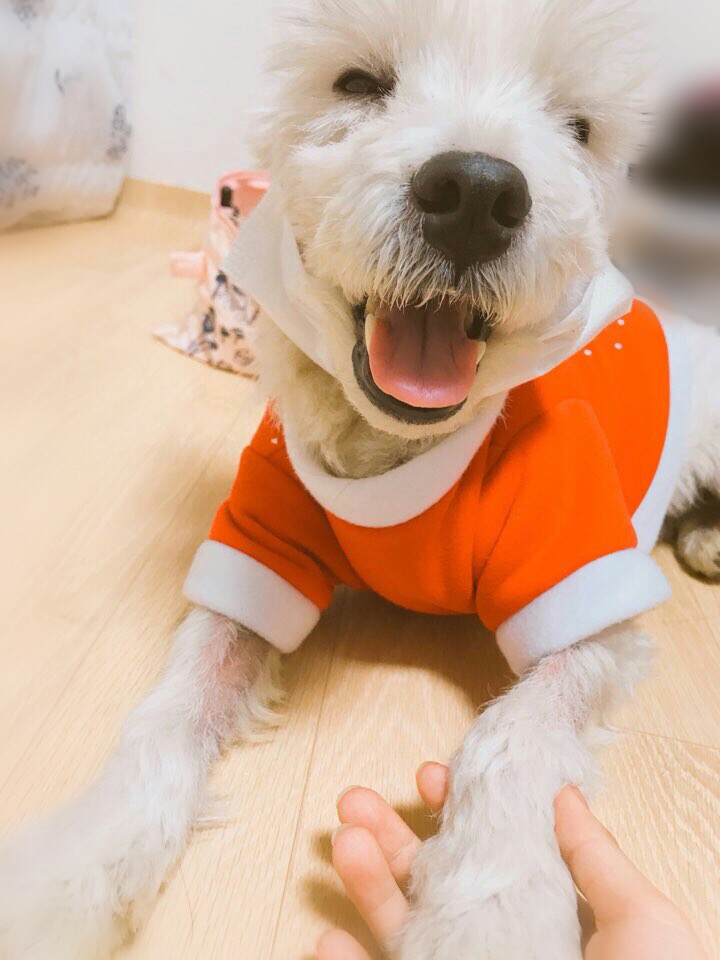 귀여운 망고의 근황&#10084;