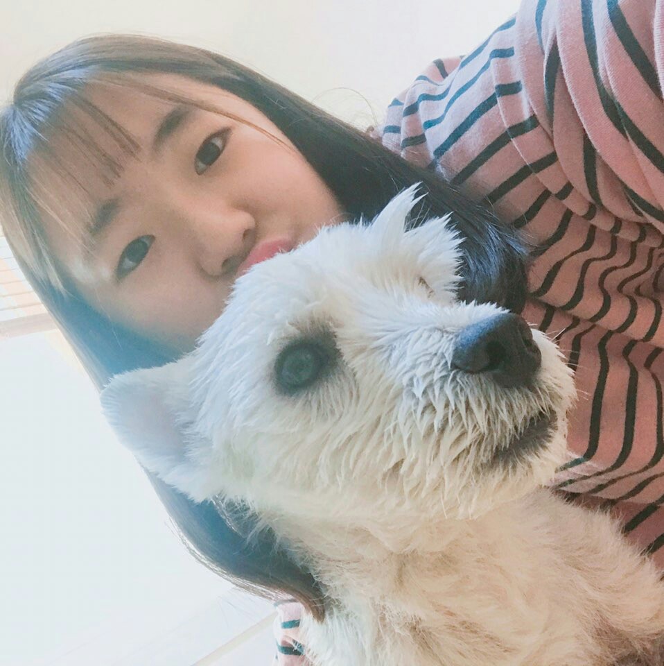 귀여운 망고의 근황&#10084;