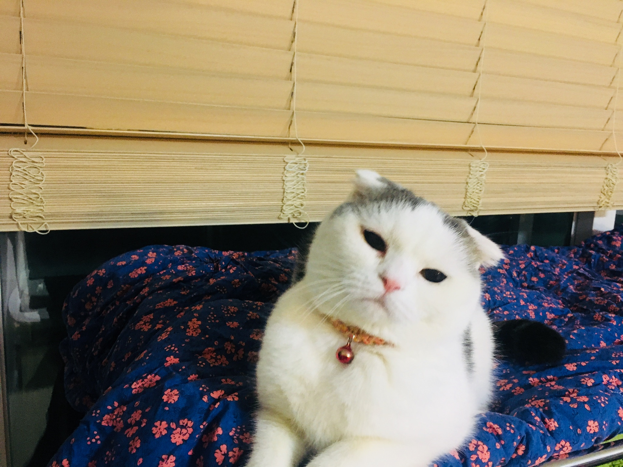 포리 근황