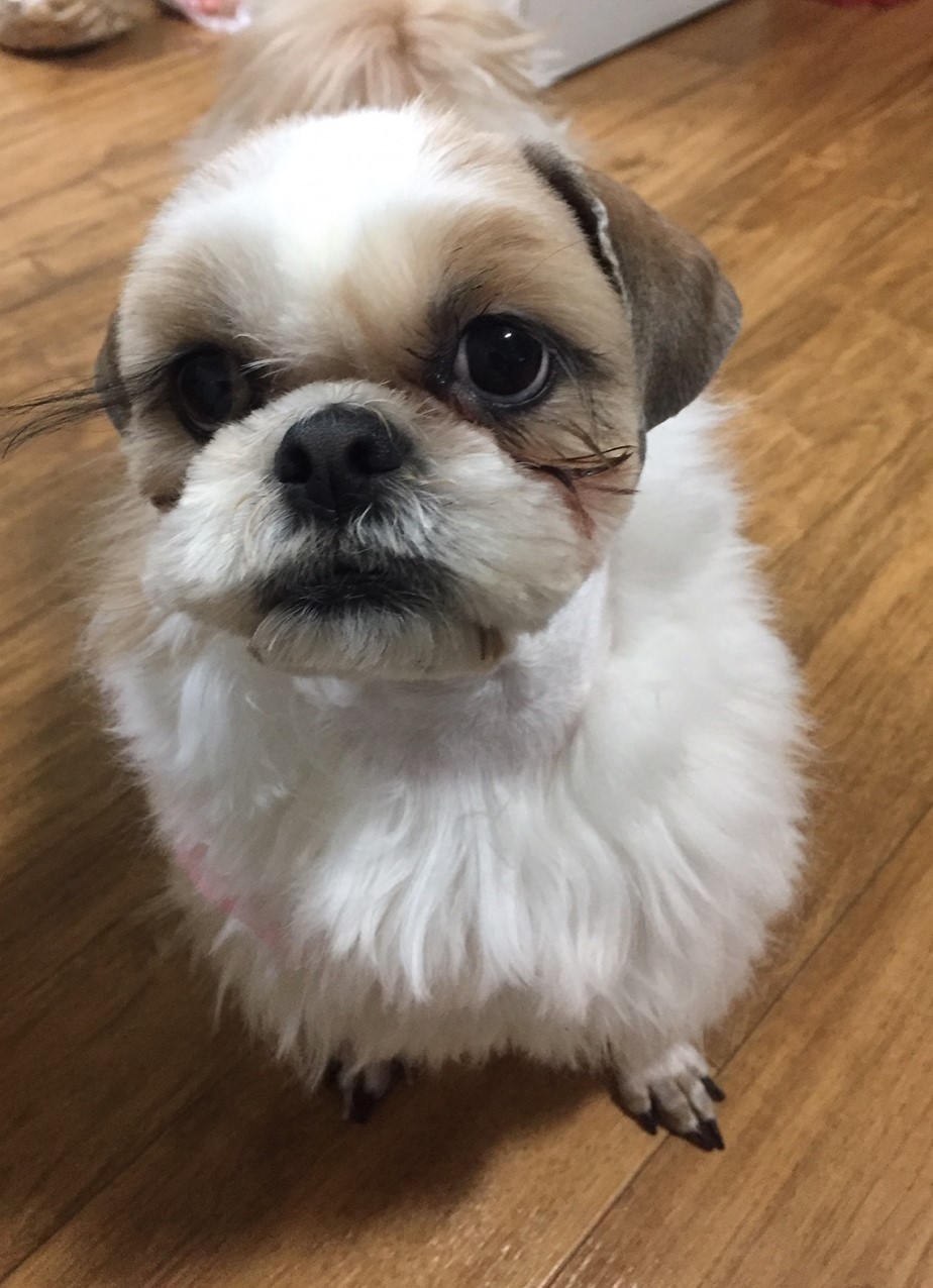 나미네 집 입니다~