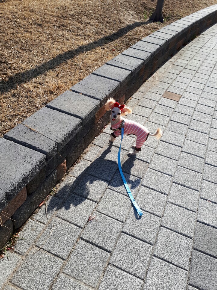 기장요다 후기